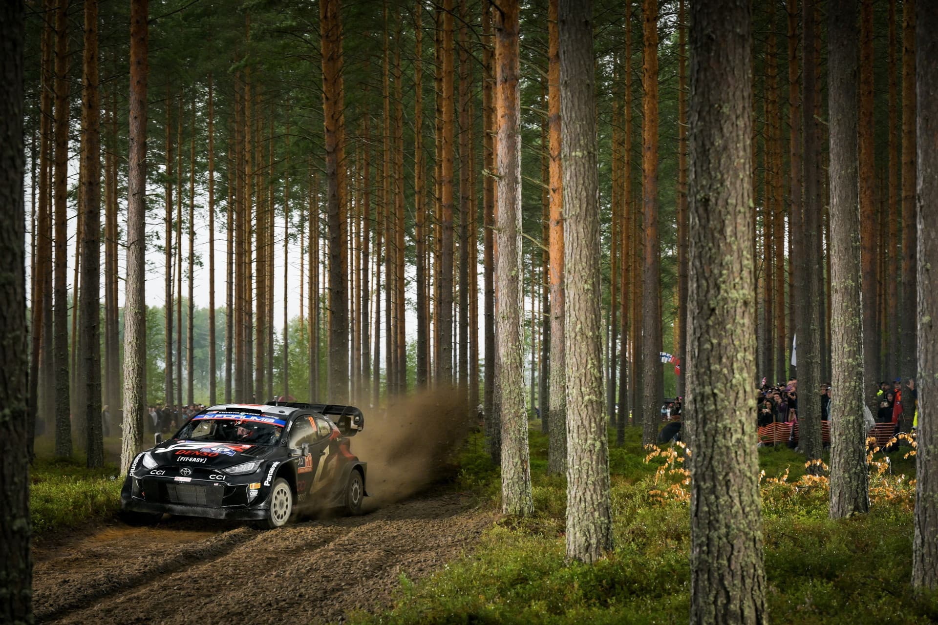 wrc_finland_d2_01.jpg