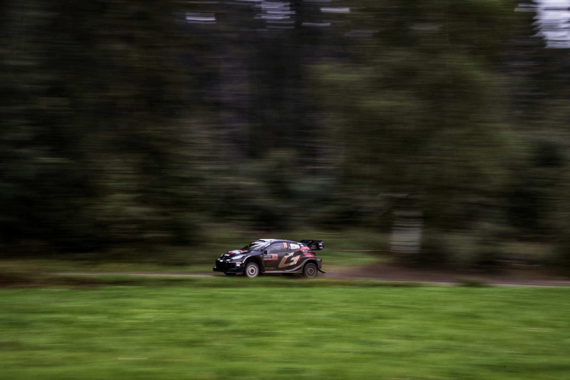 wrc_finland_d2_04.jpg