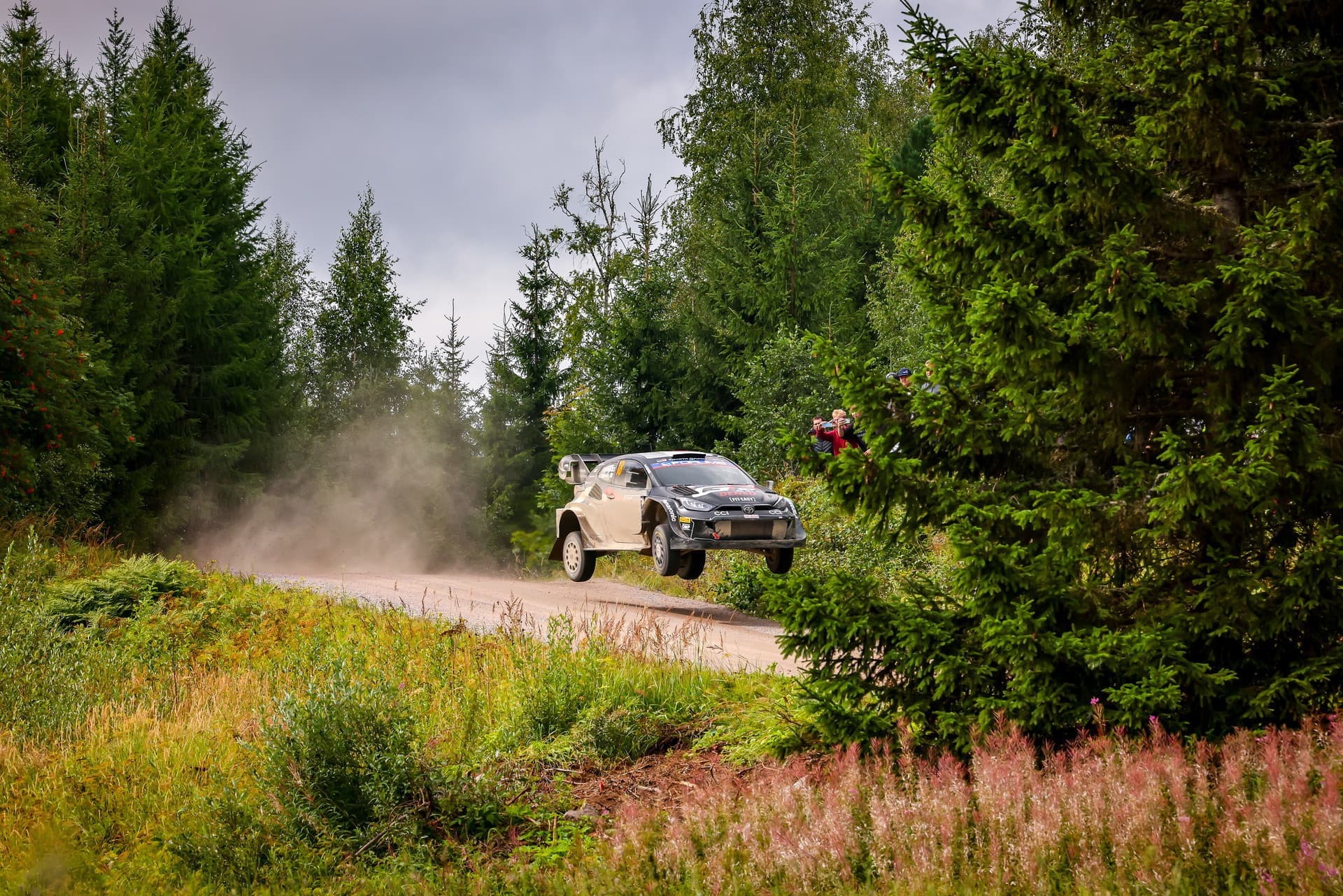 wrc_finland_d3_17.jpg