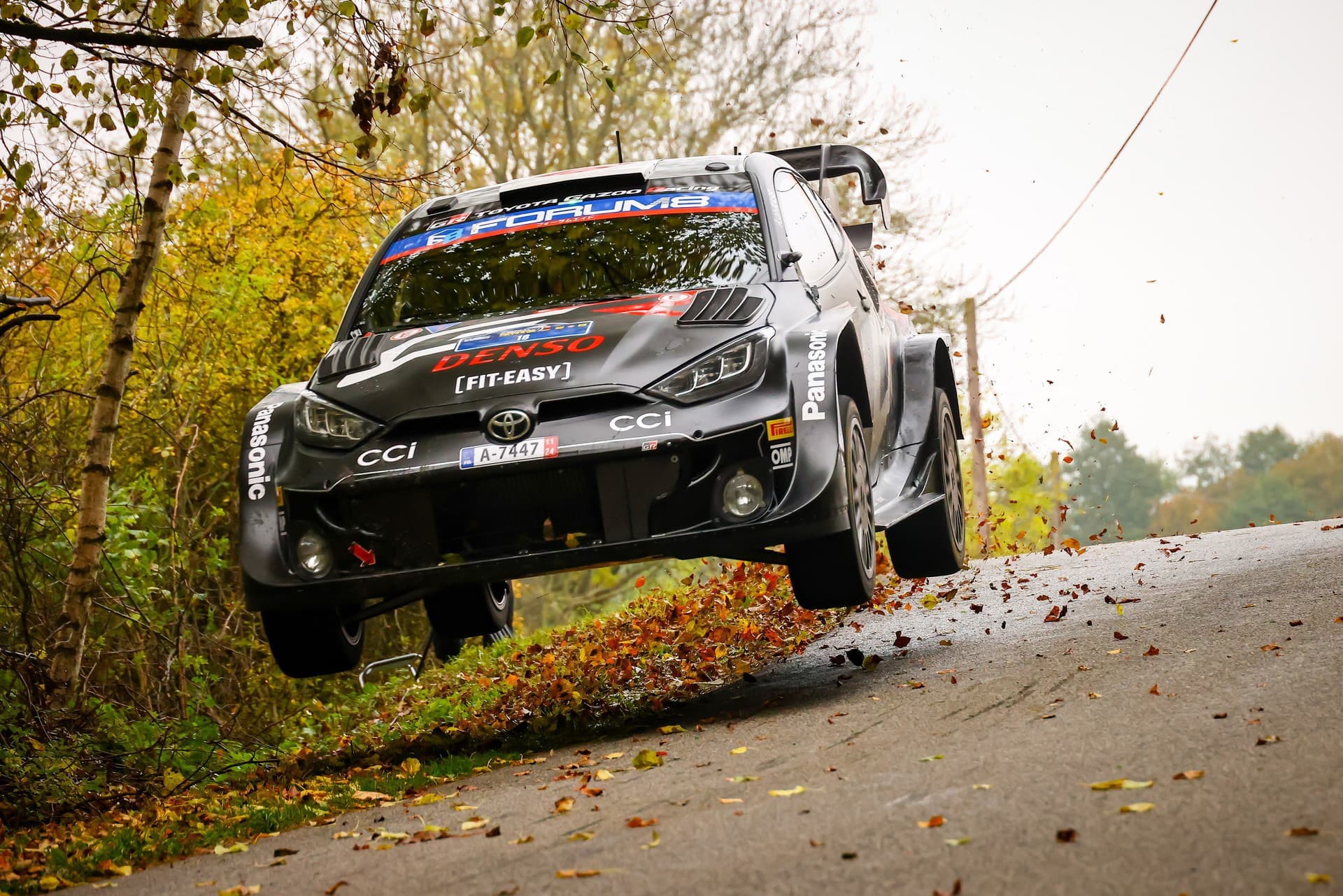 wrc_r12_d2_10.jpg