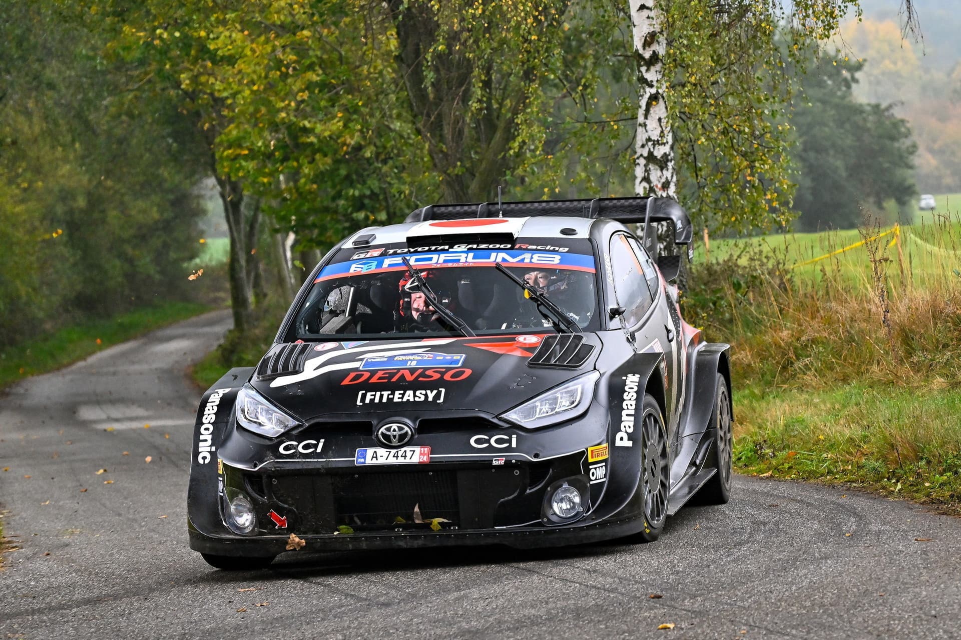 wrc_r12_d2_02.jpg