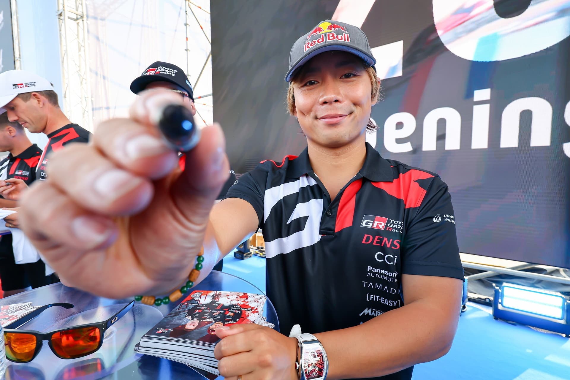 wrc_r6_sd_015.jpg