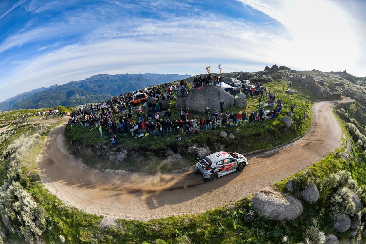wrc_r5_d3_004.jpg