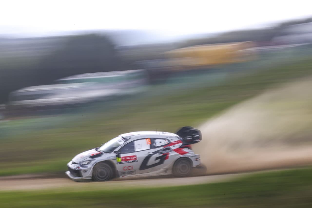 wrc_r5_d4_009.jpg