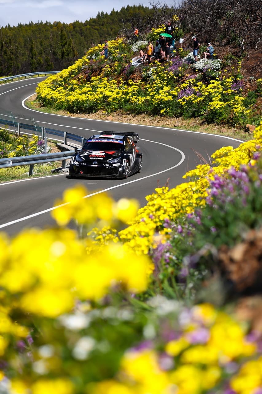 wrc_r4_d1_013.jpg