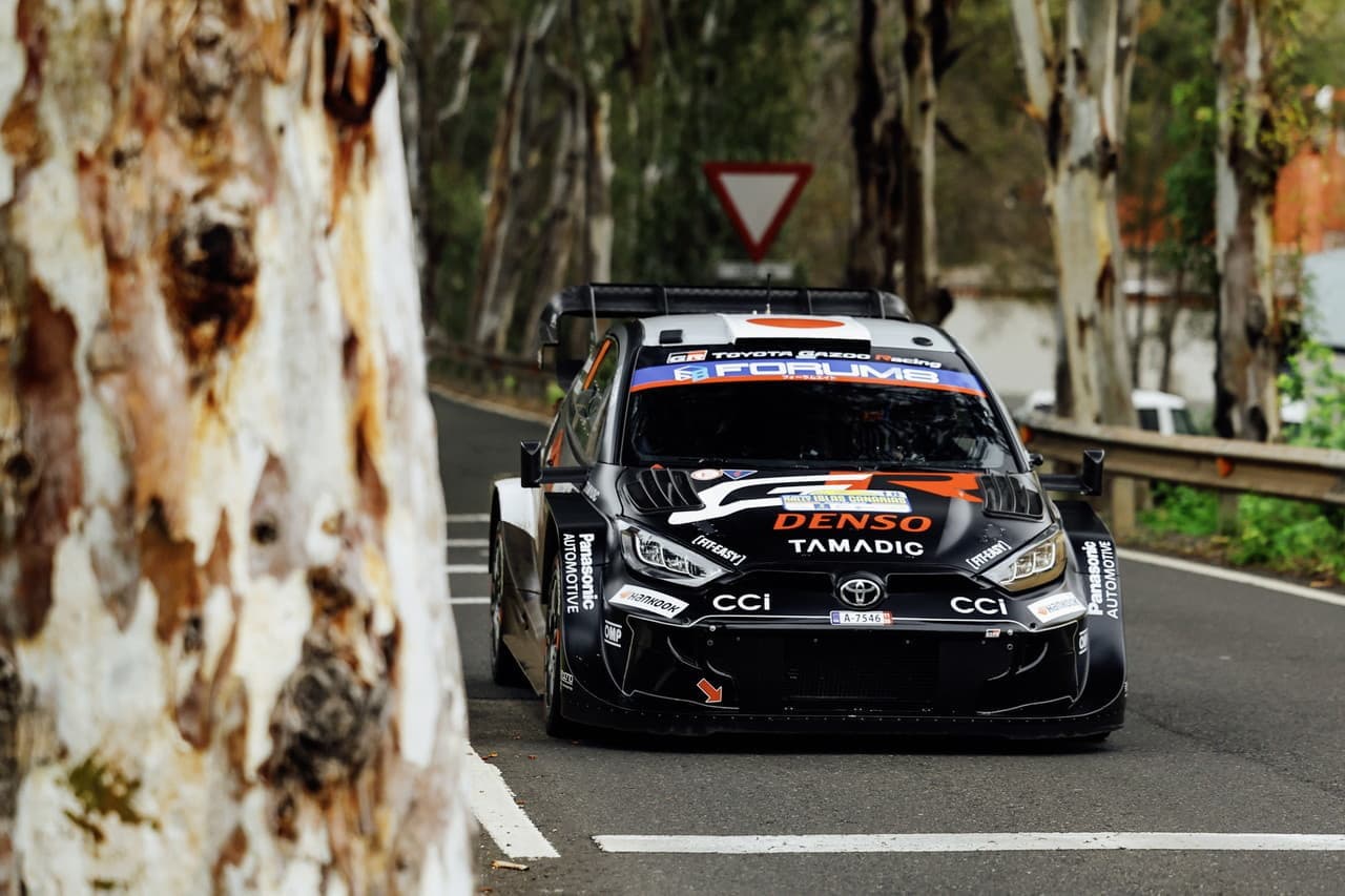 wrc_r4_d2_009.jpg