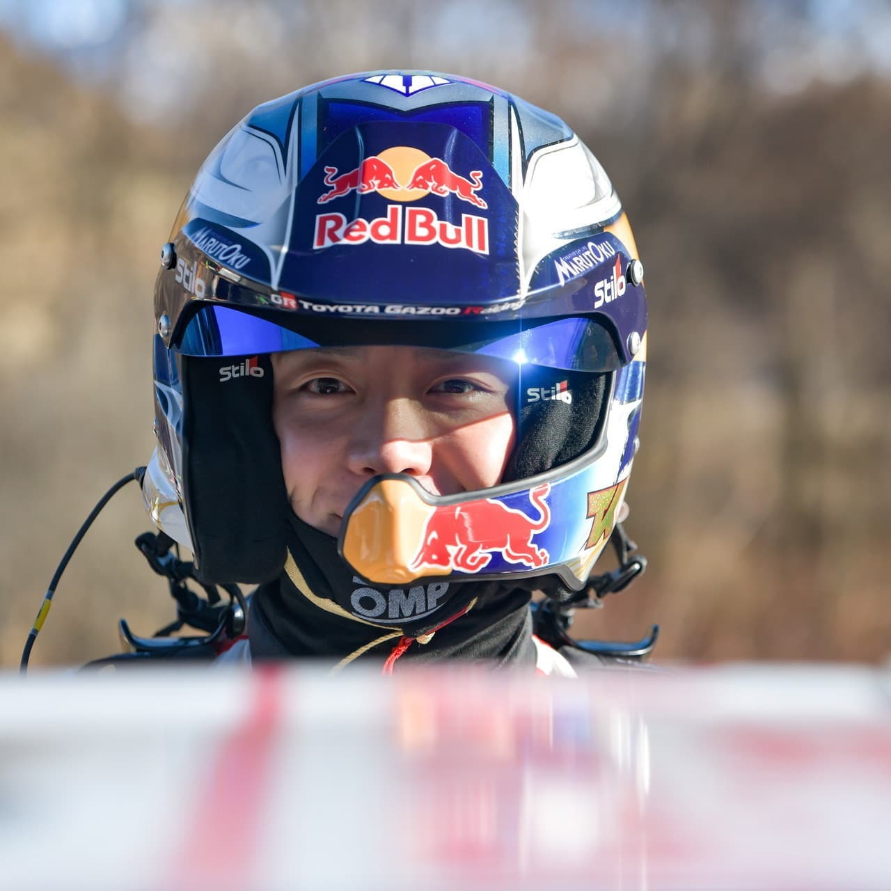 wrc_r1_d2_005.jpg