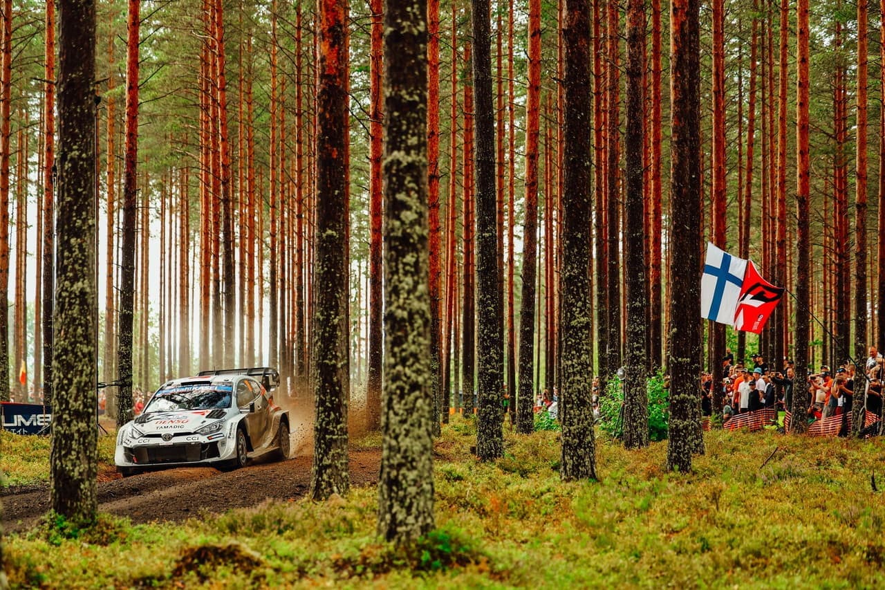 wrc_r9_d2_018.jpg