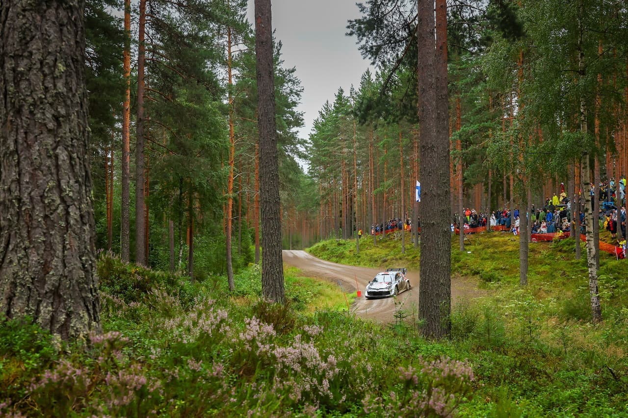 wrc_r9_d3_013.jpg