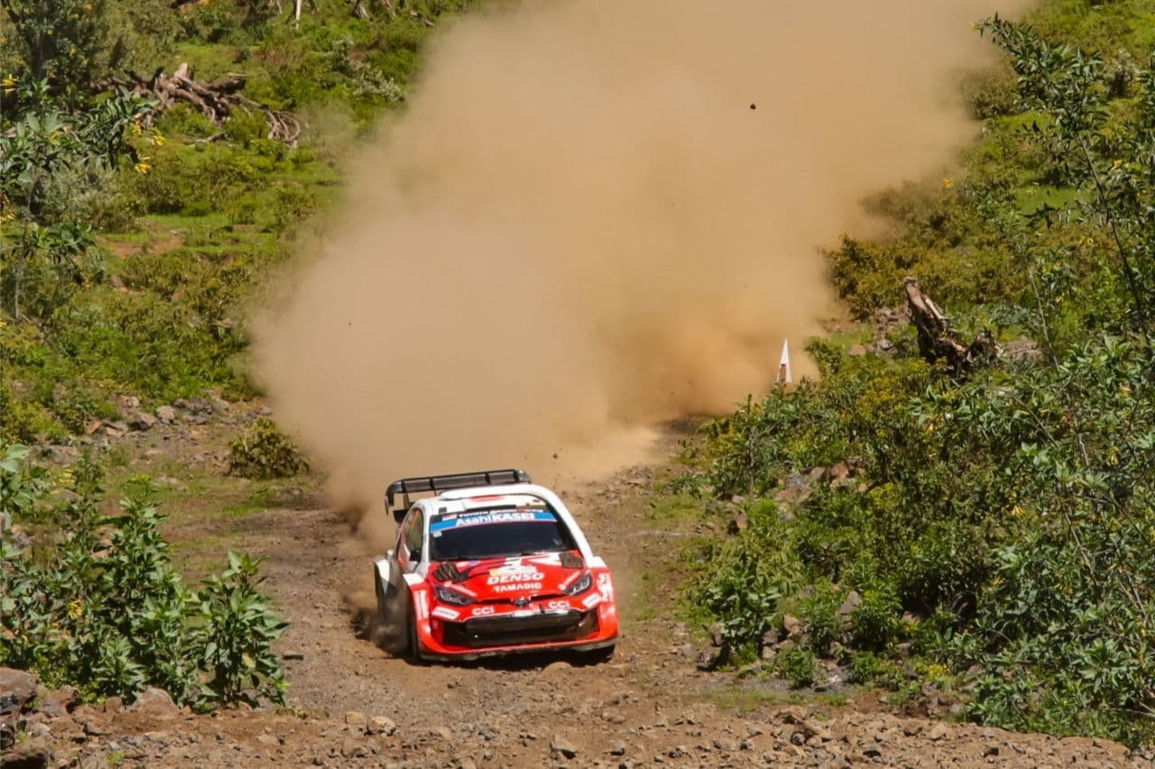wrc_r3_d2_11.jpg
